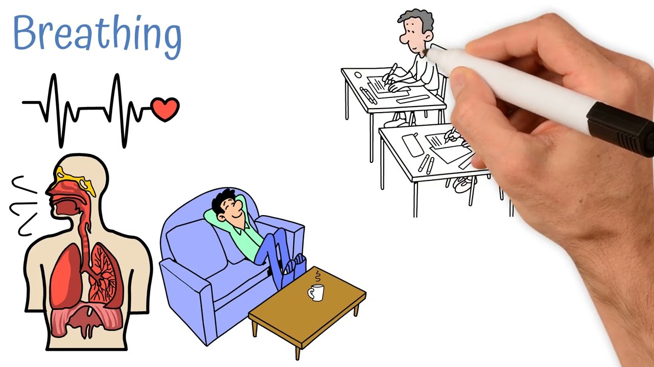 Frame from an animated explainer in the HSE Psychology First series, drawn in whiteboard sketch style, showing a hand holding a marker beside illustrations of lungs, a heartbeat line, a person resting on a sofa and pupils at school desks, under the heading Breathing.